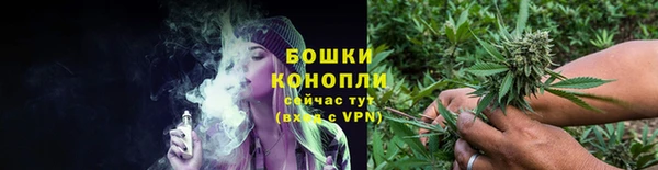 шишки Краснотурьинск