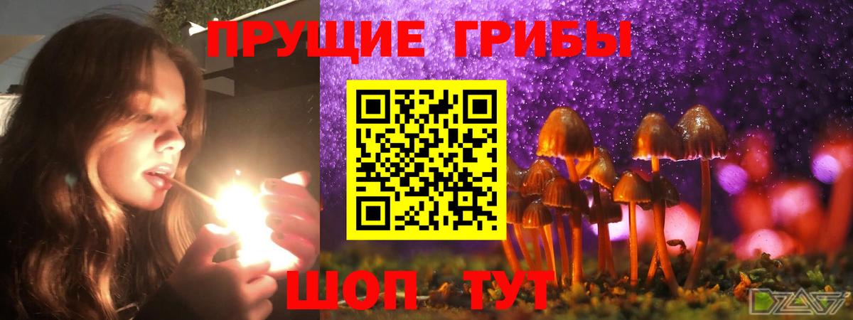 Галлюциногенные грибы Psilocybe  Вход с VPN  Псилоцибиновые грибы Cubensis  Сочи 